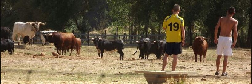 pablo5tdh's profile banner image