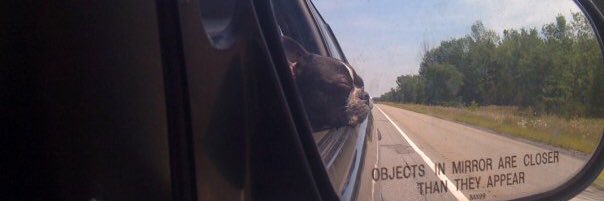 Simon Fraser IV banner