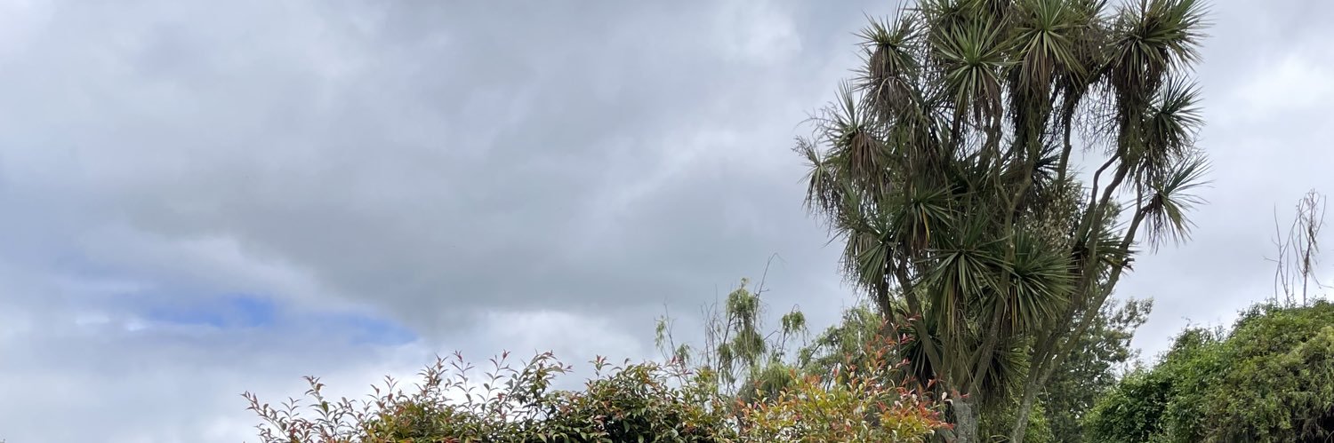 Ofel banner