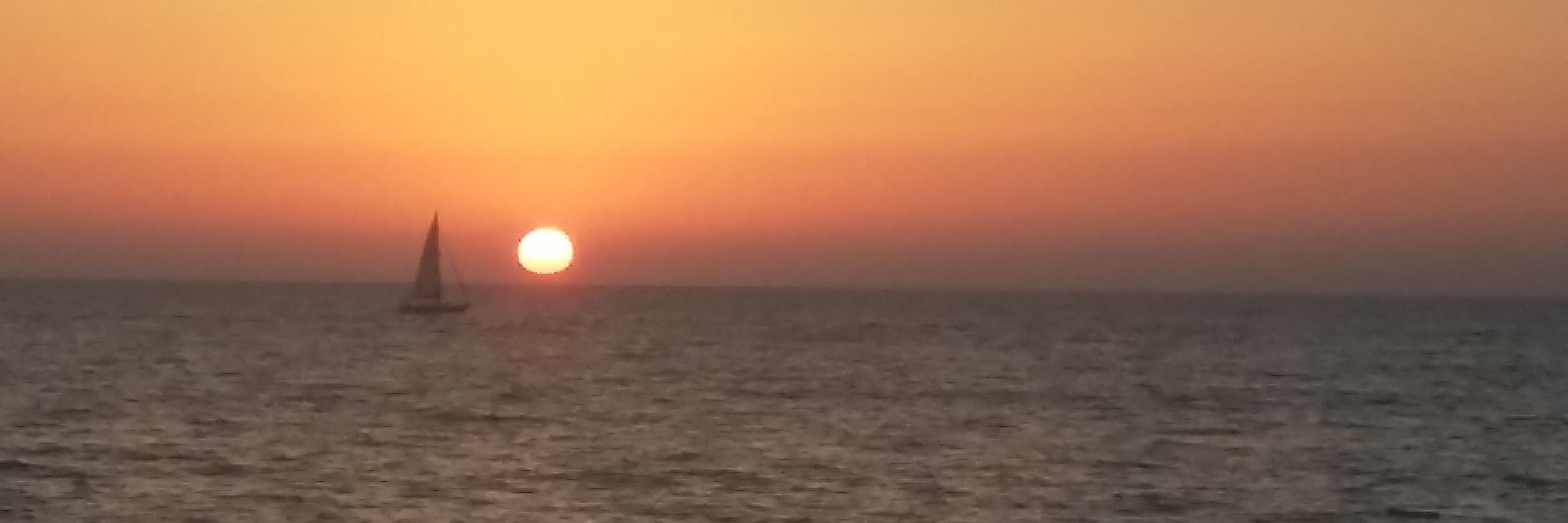 sharonfarber's profile banner image