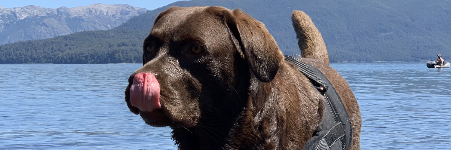 Ezequiel Mina banner