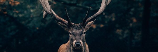 _MG__ Profile Banner