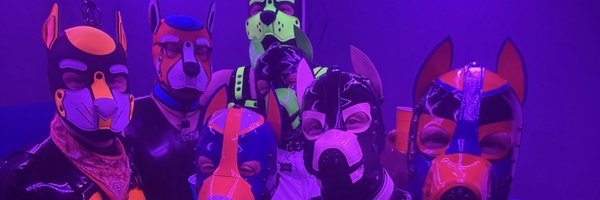 doggo_hyper1 Profile Banner
