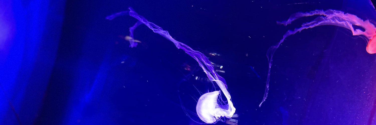 hyhy_129's profile banner image
