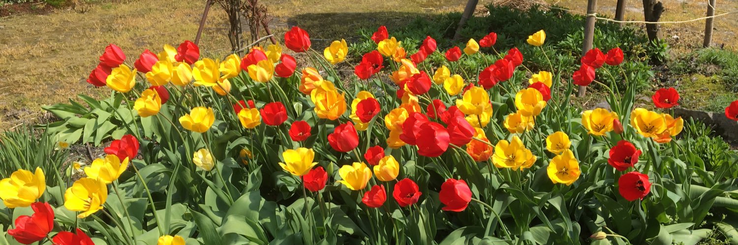 とっとろ♪ banner