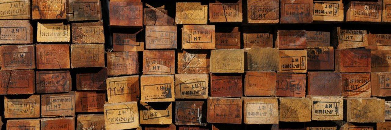 Joseph Macchia banner