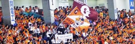amanejjf's profile banner image
