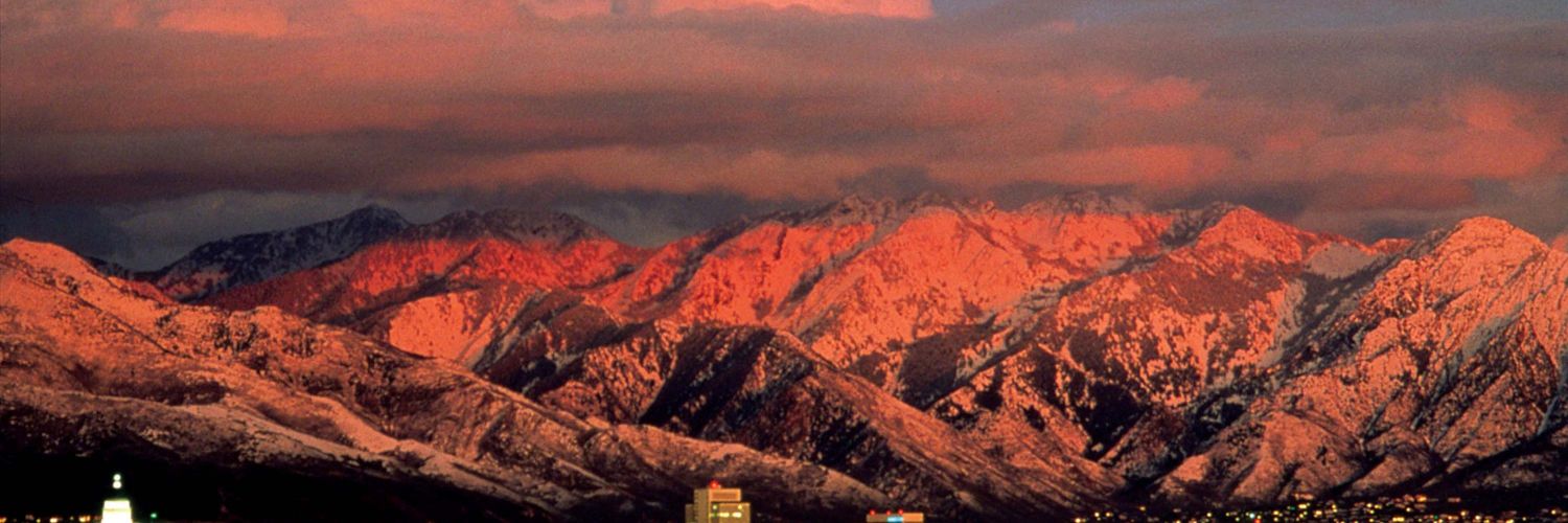 ☭ SLC Socialist banner