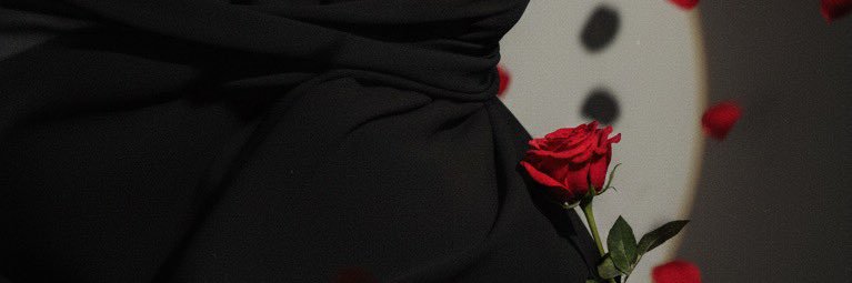 ________nsl's profile banner image