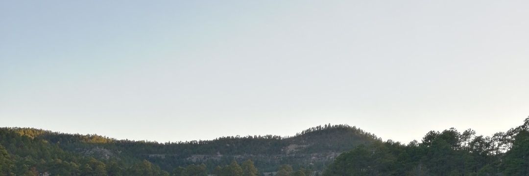 fxlorens's profile banner image