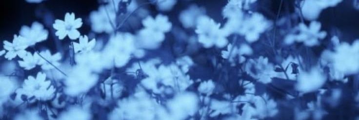 DarkkkBeats's profile banner image