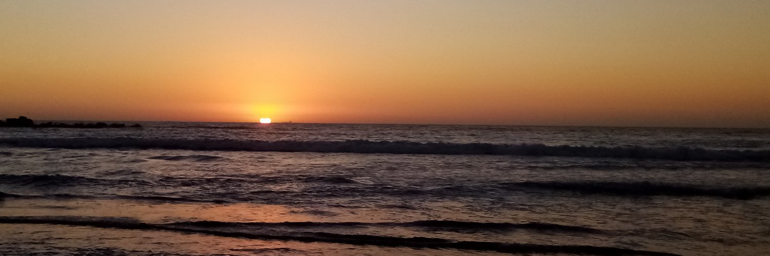 CarliiNavarro's profile banner image