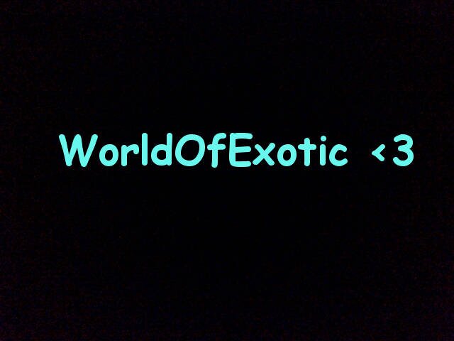 WorldOfExotic's profile banner image