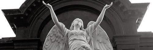 bayrammesra's profile banner image