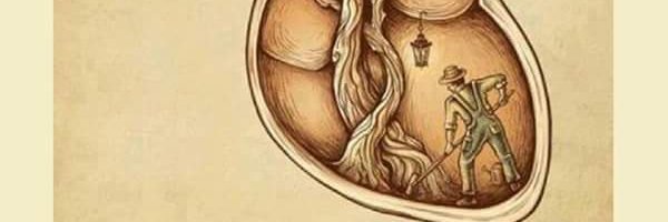 olmusico's profile banner image