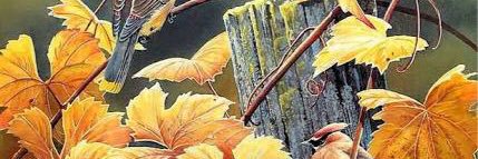 H. Canan Sumer banner
