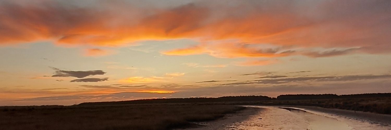bustama_nt's profile banner image