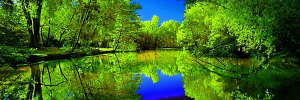 ZaeemAl99402138 Profile Banner