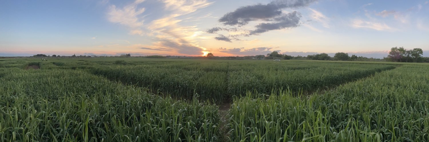 Laura MATHIEU banner