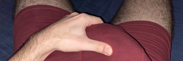 Bear_243's profile banner image