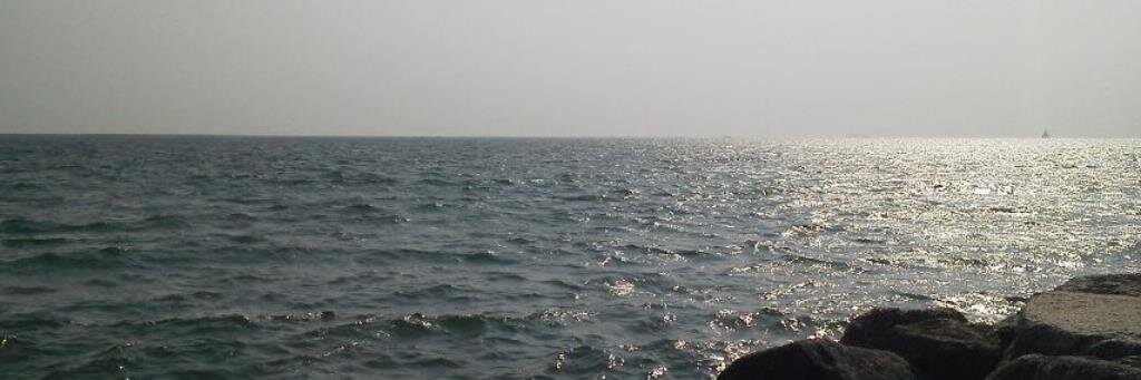 🖇ボヘ📎隊長🖇 banner