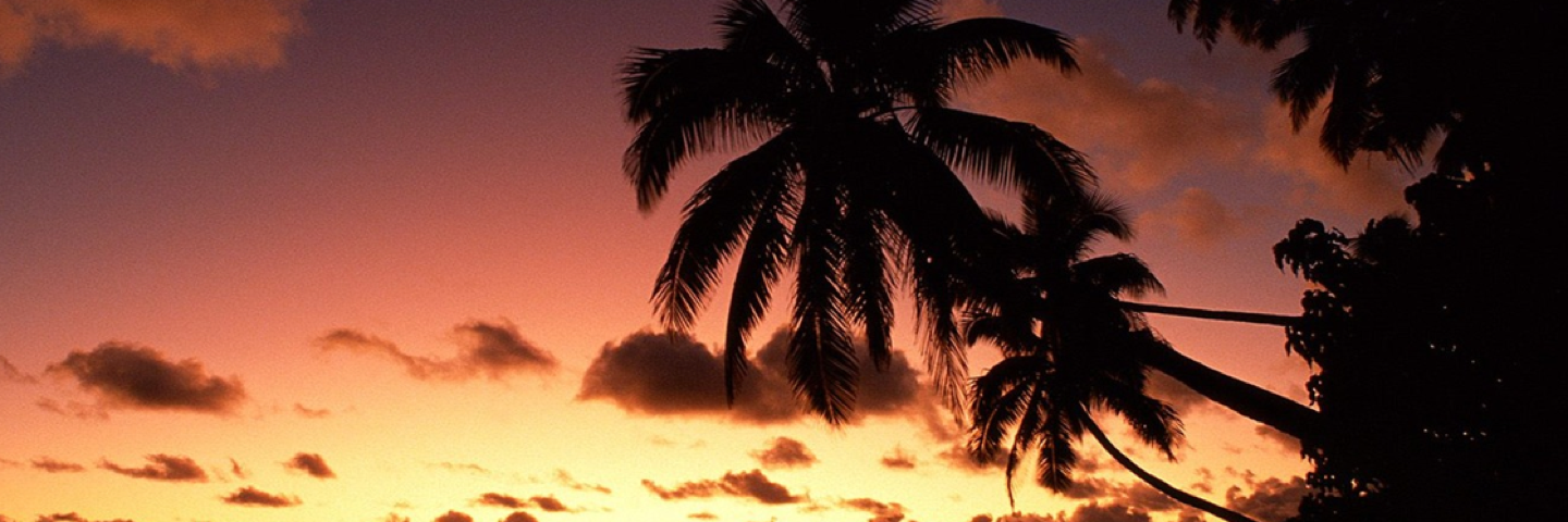 Miss_Elizabeth's profile banner image