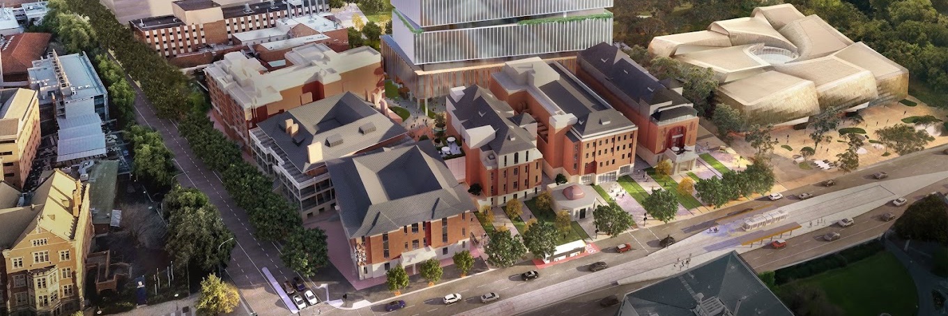 David Rohrsheim banner