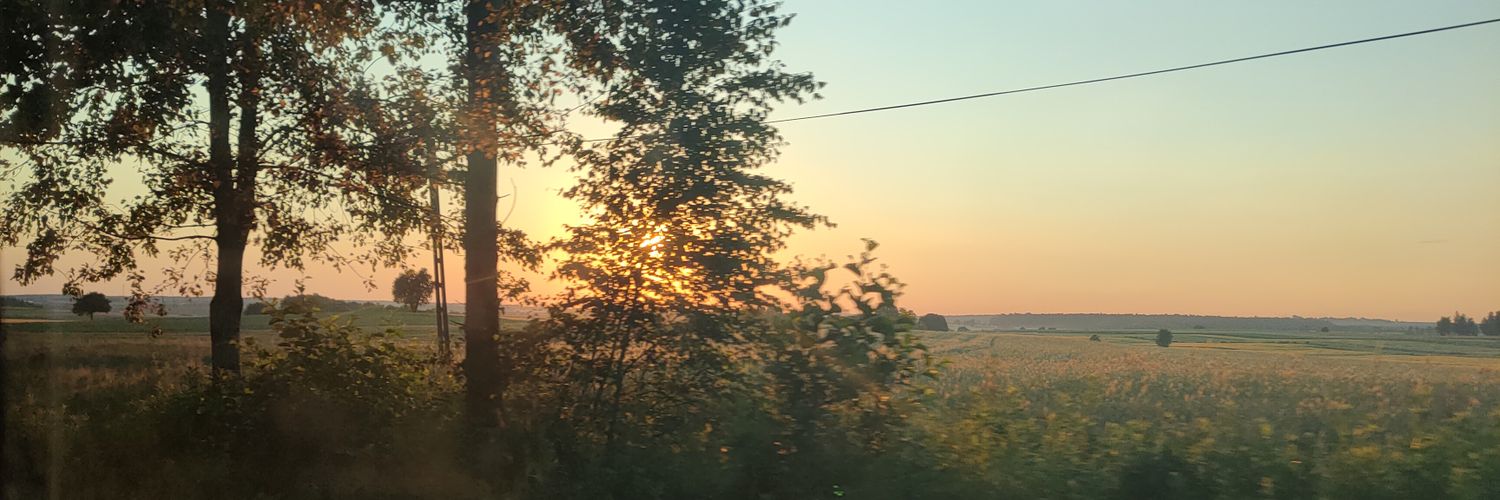 zlexd1's profile banner image