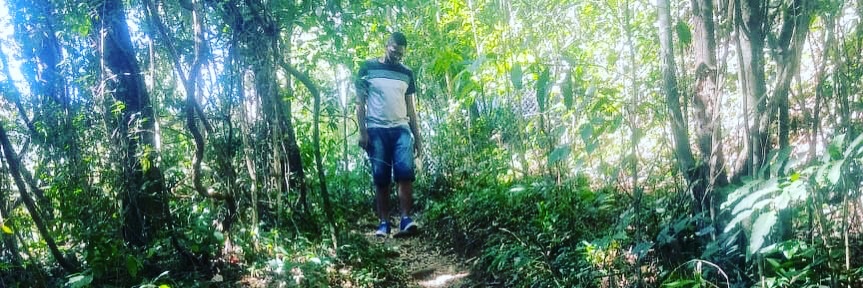 Gabriel (aquele) banner