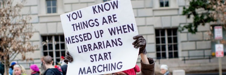 SuzAtTheLibrary banner
