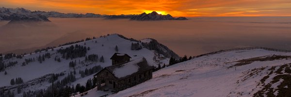 RuthSteinbaer Profile Banner