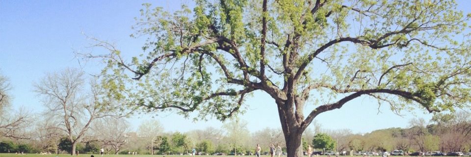 Jennifer Faulk banner