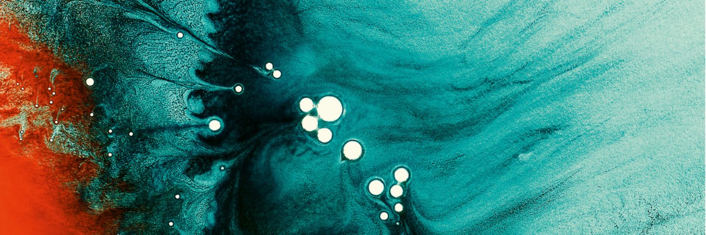 David Donaldson banner