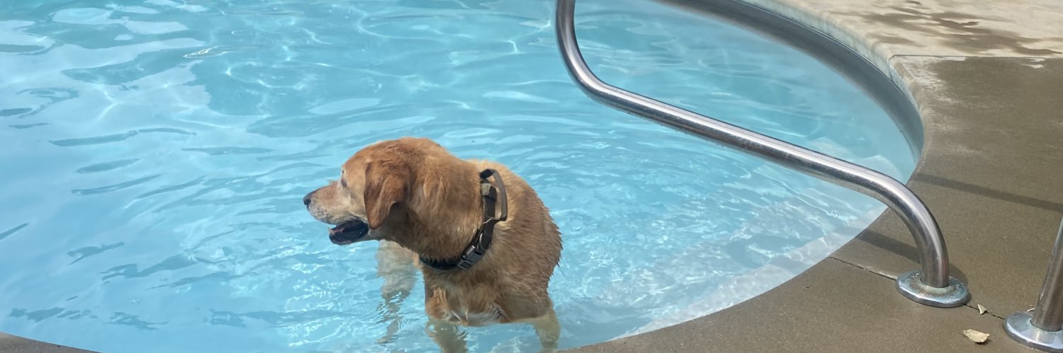 Andrew Athens banner