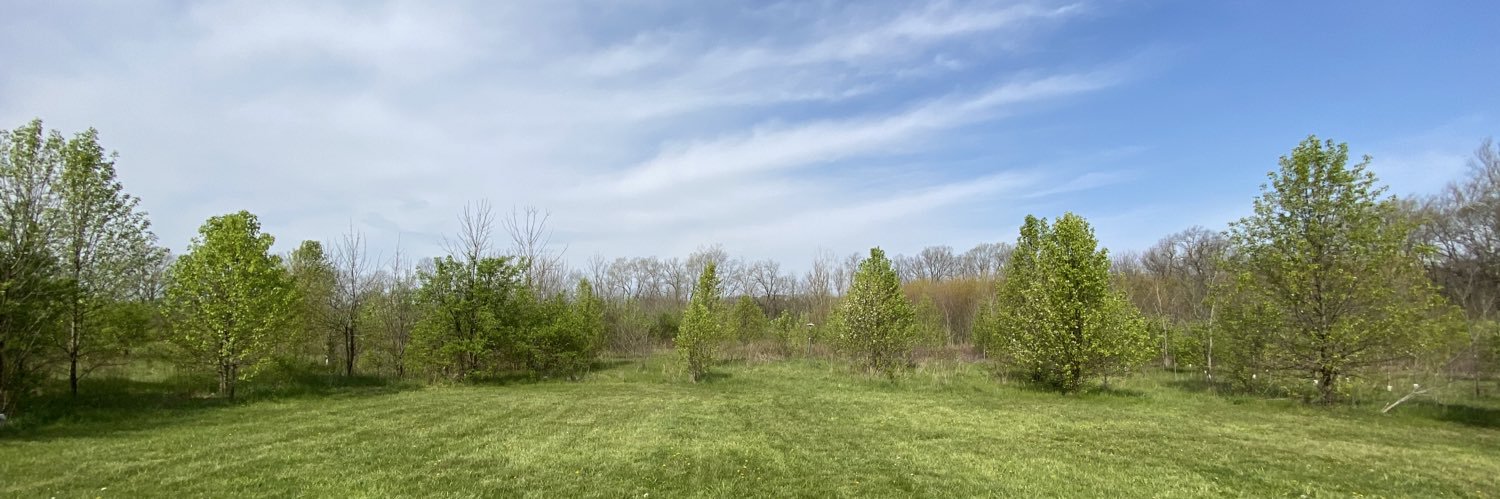 Jonathan Haag banner