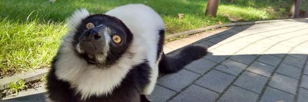 ChristopherBlum Profile Banner