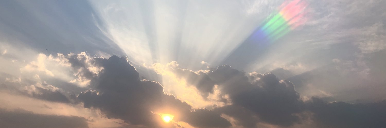 mikokeiko's profile banner image