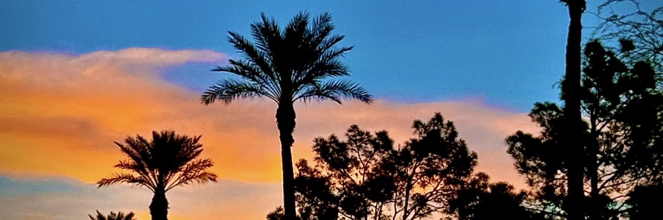 Deb Loves Deplorable’s AKA “THICK” banner