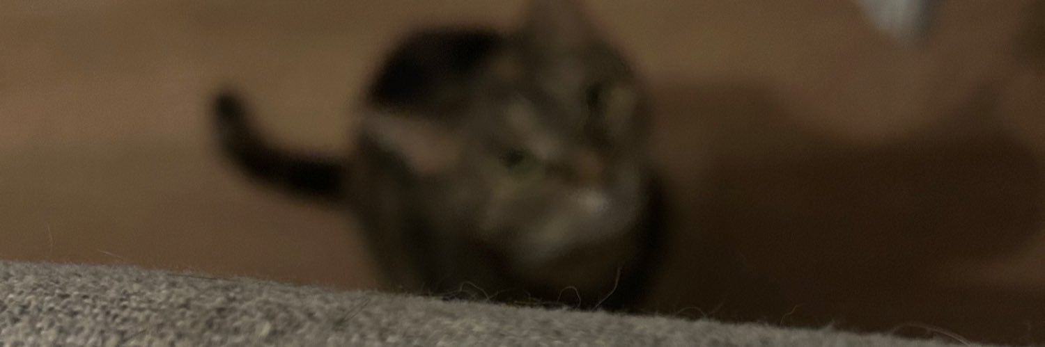 tr4ssa's profile banner image
