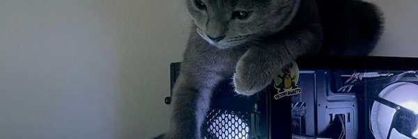 _rookietrader Profile Banner