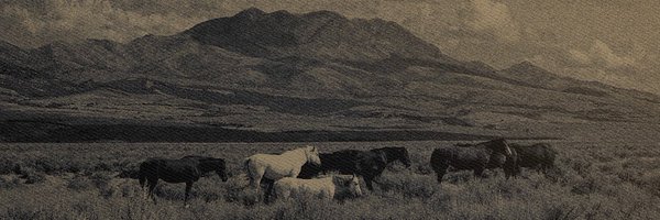 bailburned Profile Banner