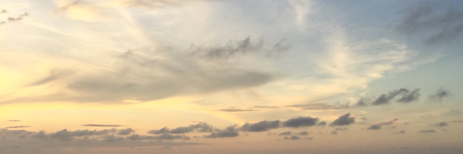 simyrodrilevy's profile banner image