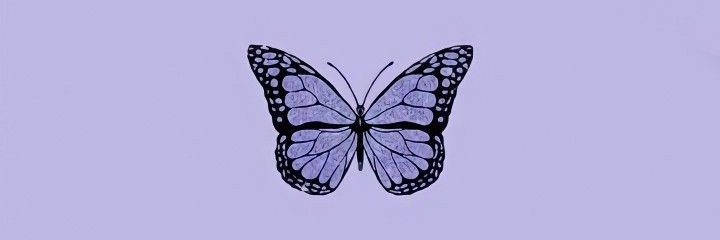 Naevr Take banner