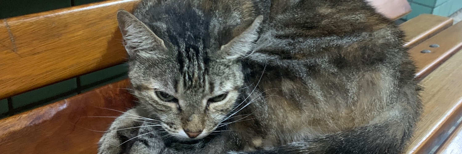 so🅰️res12 banner