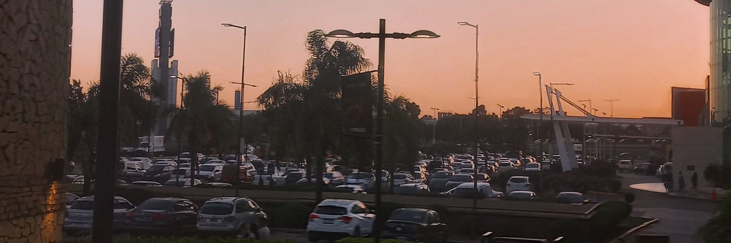 soffiferreiraaa's profile banner image