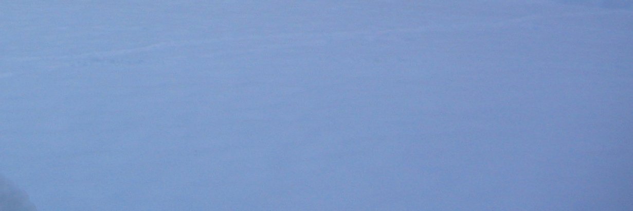 Jennifer 🇨🇦 🇺🇦 banner