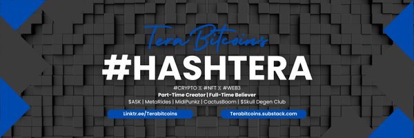 TeraBitcoins Profile Banner