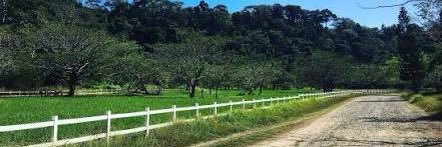 Serendipity💛🍃 banner