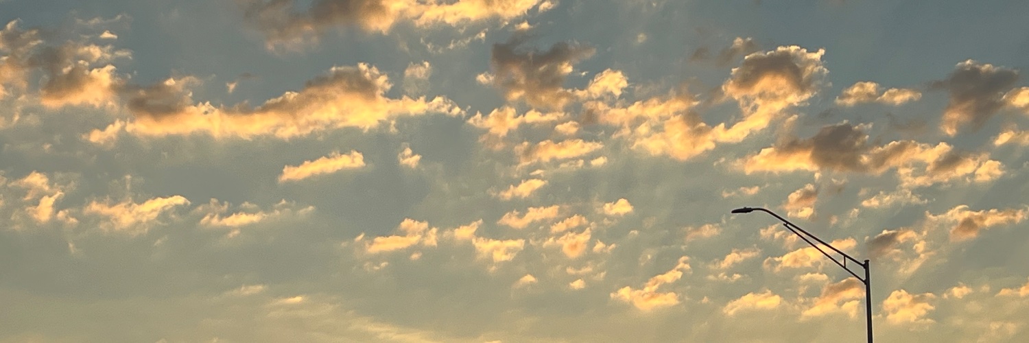 Salami_Lizard's profile banner image