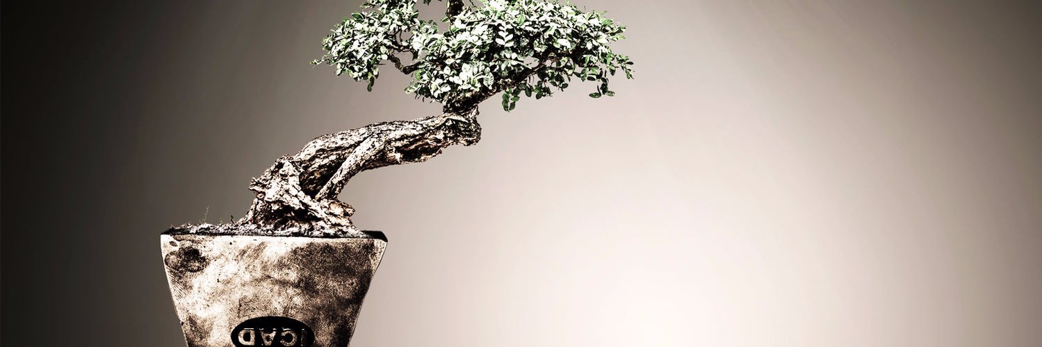 KumarRavi577's profile banner image